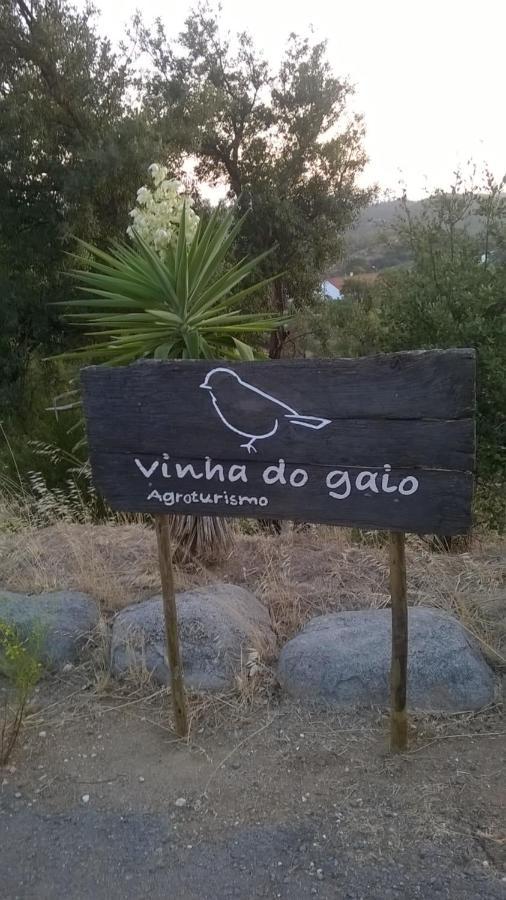Vinha Do Gaio Villa Montes de Cima Exterior photo